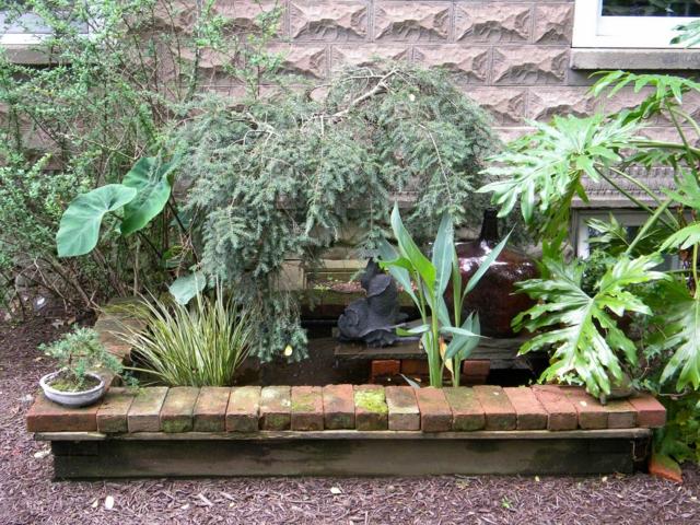 pond water green plants