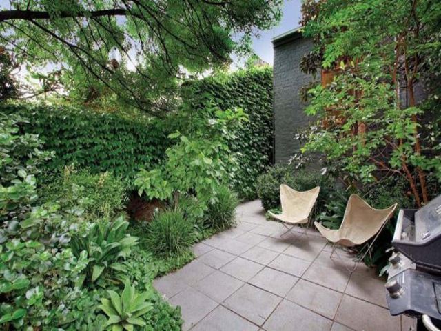 Courtyard plants greenery terrace