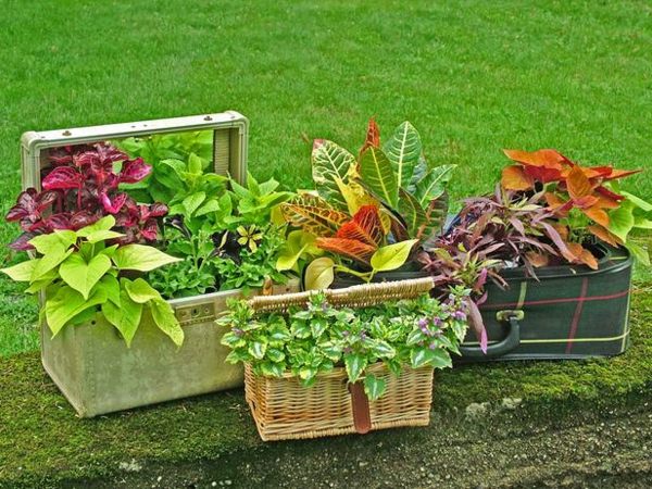 baskets recycle flower pots