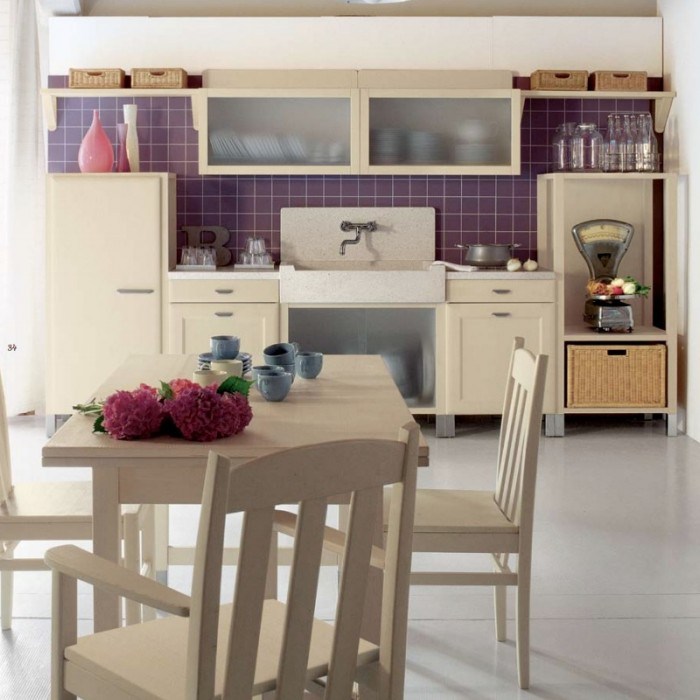 Chic purple color kitchen design