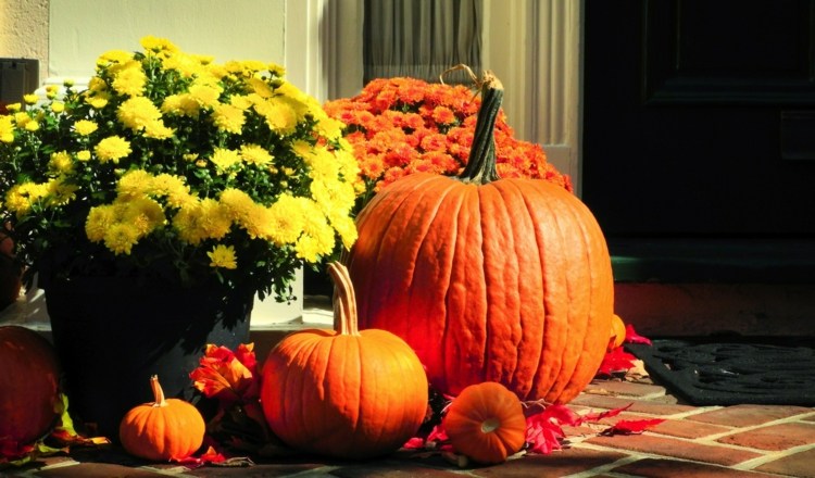 deco halloween flowers pumpkins