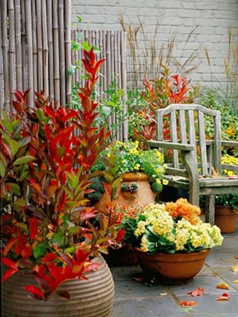 Autumn garden red leaves