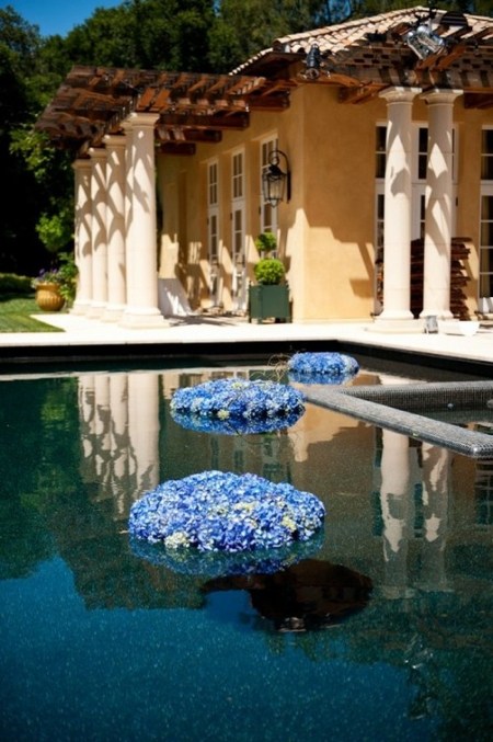 Floating blue flowers