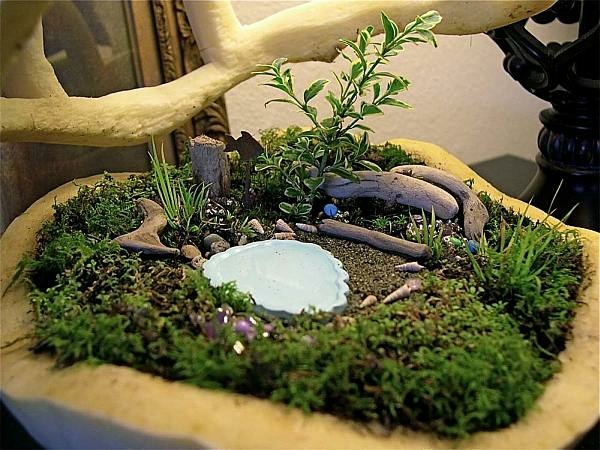 Garden miniature bonsai style pond