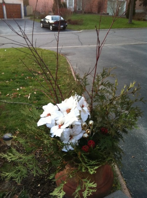 Nice Christmas bouquet