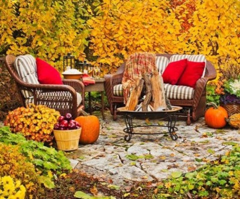 Pretty yellow leaves patio