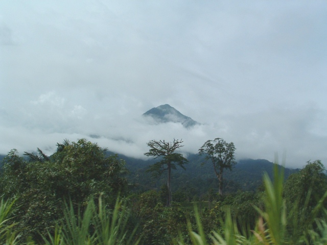 喀麦隆山美丽的地方