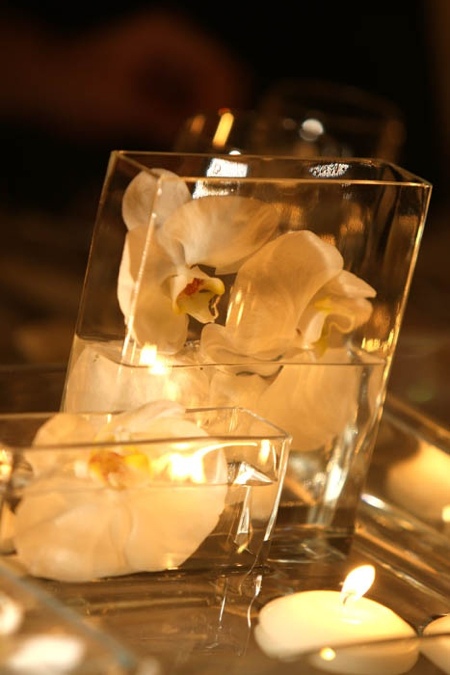 Orchide floating wedding