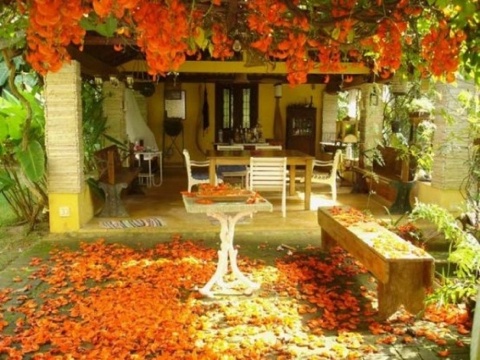 Covered patio leaves autumn