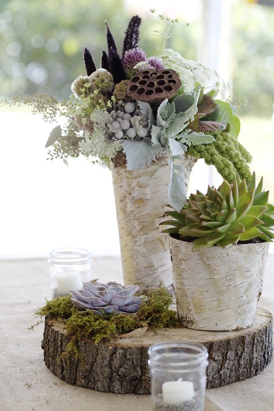 Wooden pots for succulents