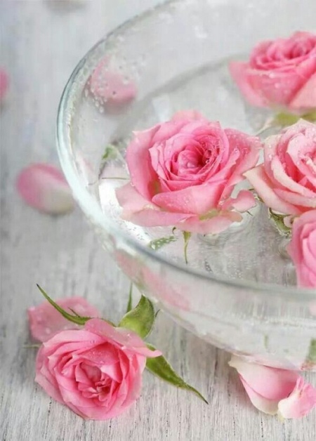Roses bowl water