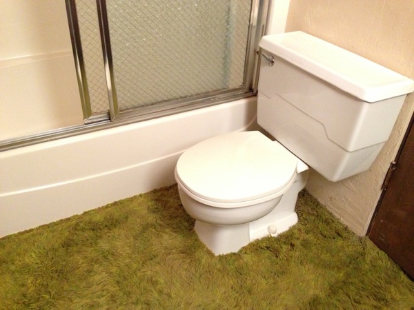 Toilets with a shaggy rug