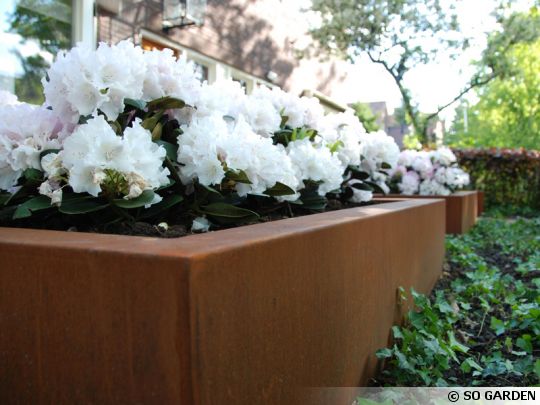 corten steel flower boxes