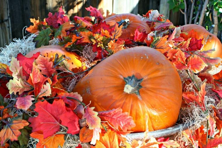 leaves tree idea pumpkin deco interior wheelbarrow decorate outdoors space