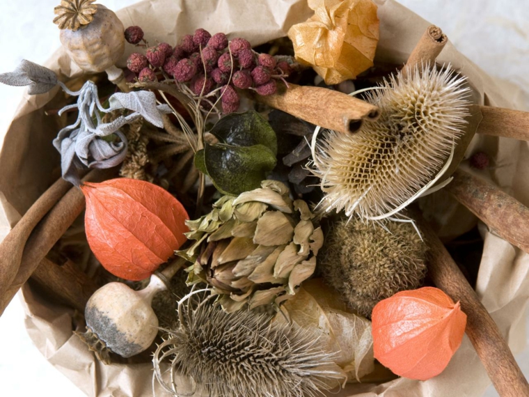 make an autumn potpourri