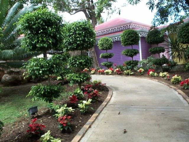 idea garden alley purple house stone path