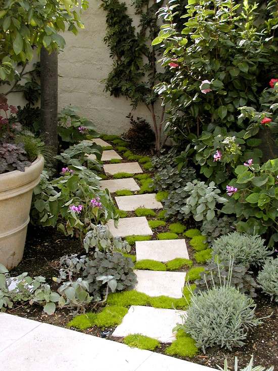 garden path with foam