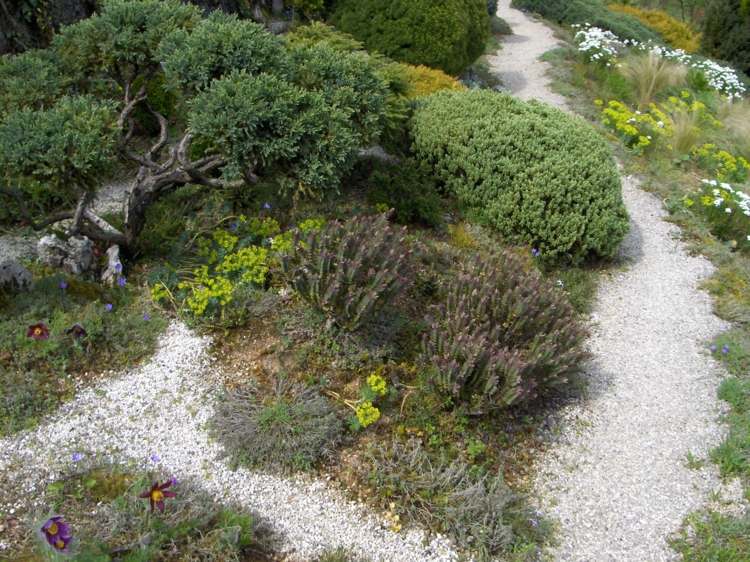 allee landscaped garden gravel