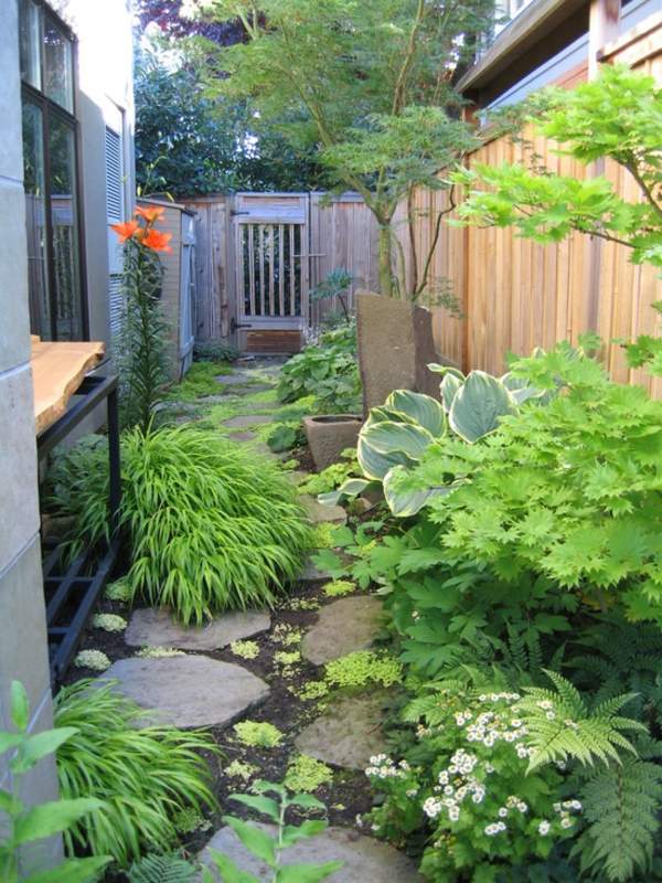 alley garden stones plants