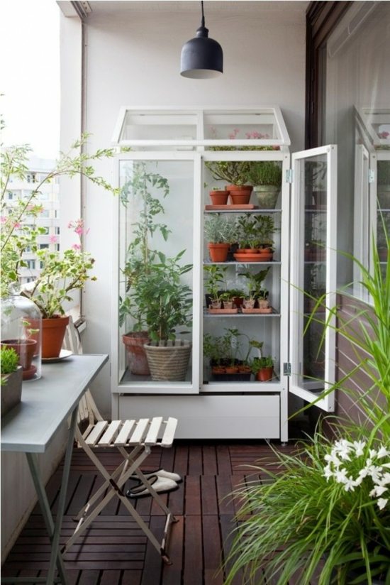 arrangement balcony shelf glass plants