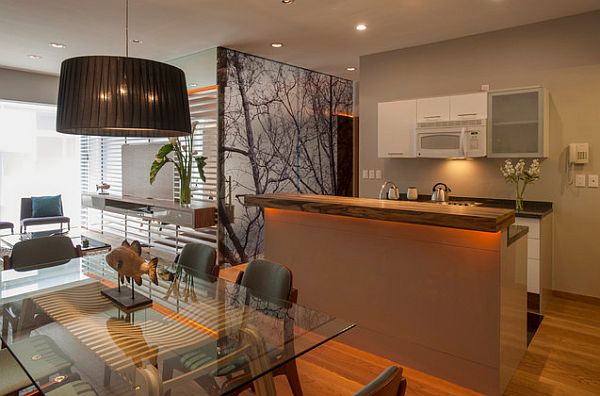interiør design liten leilighet mini kjøkken