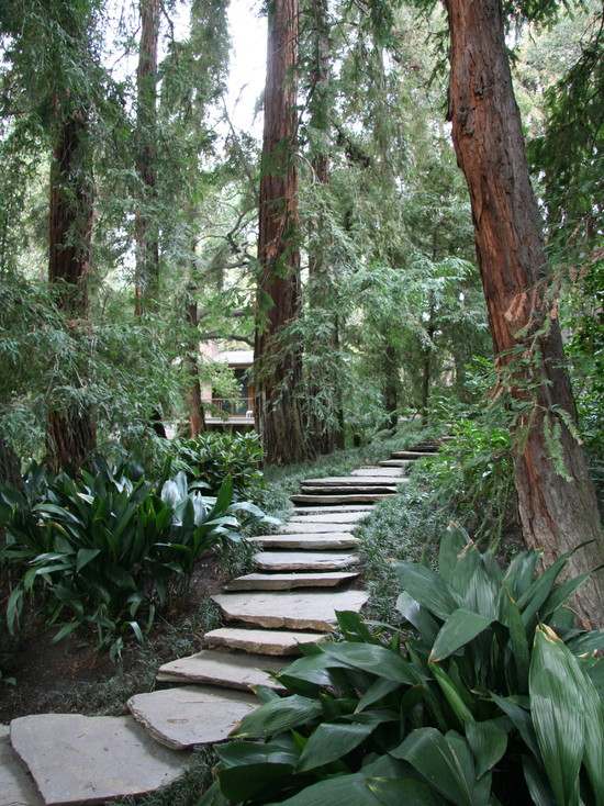 landscaped driveway path