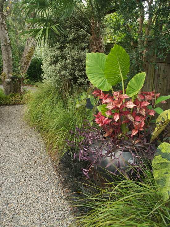 landscaped garden path