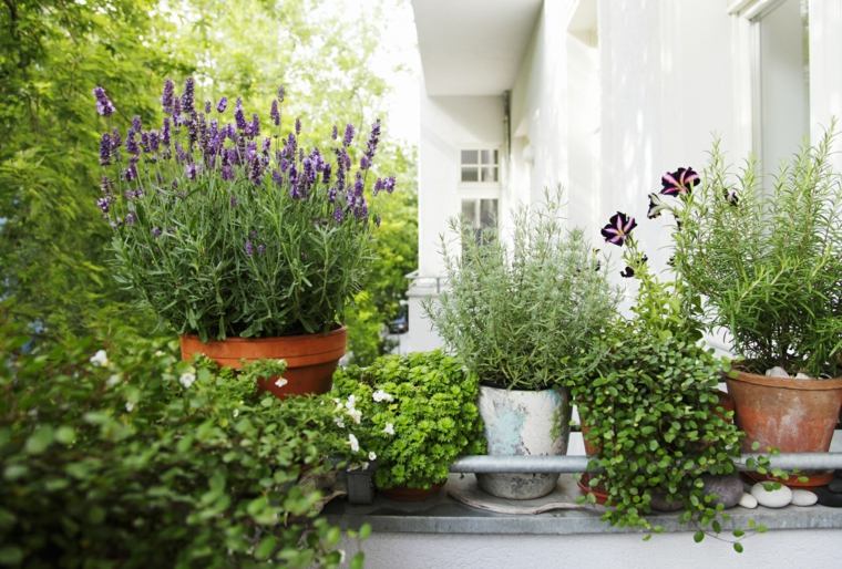 blomster balkon planter terrasse