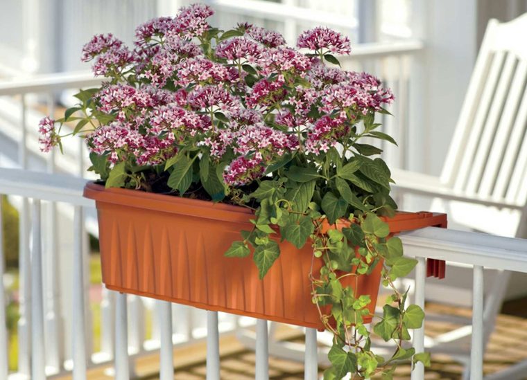 outdoor flowerpot landscaping balcony terrace small space