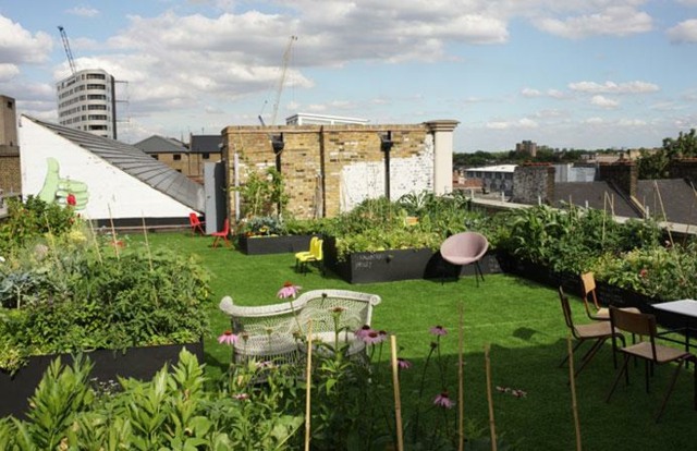 landscaping roof garden