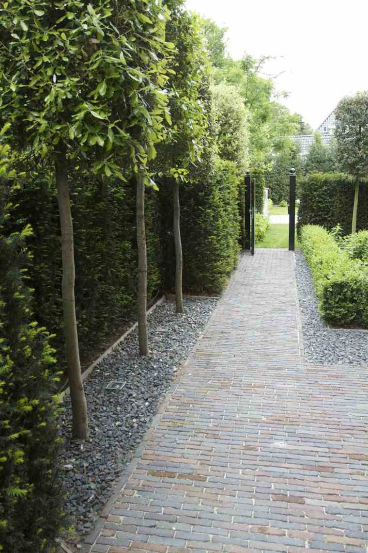 outdoor plant idea modern allee