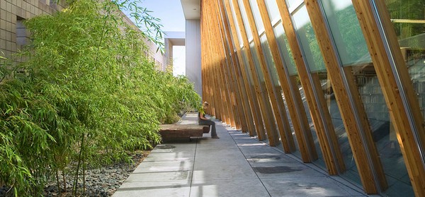 natural integrated outdoor landscaping