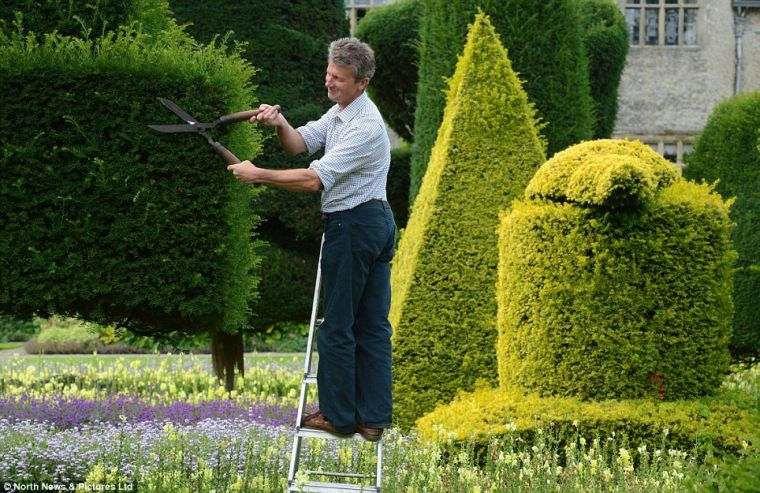 Reka bentuk taman topiary