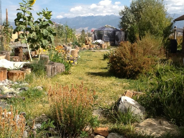 permaculture garden design Montana