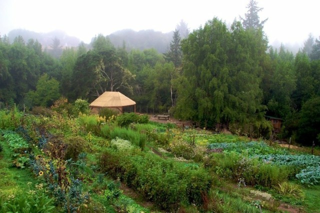 landscaping permaculture garden OAEC Sonoma County