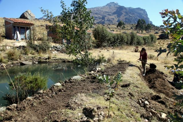 landscaping outdoor garden permaculture aquaculture