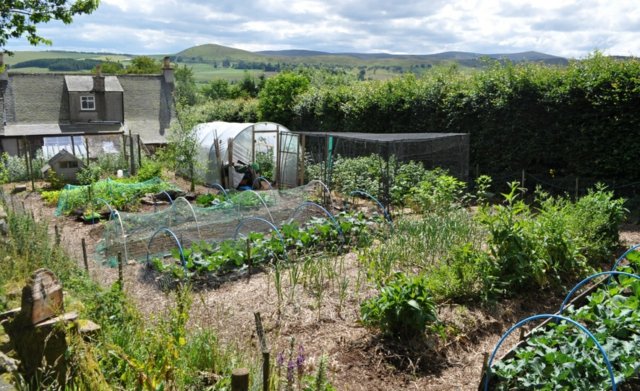 self-contained outdoor garden layout permacole