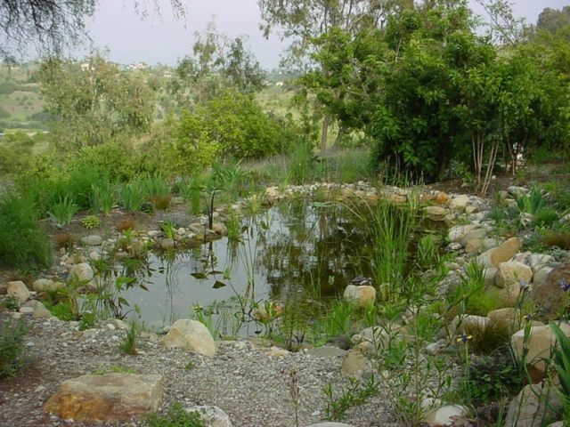 landscaping outdoor permacole pond water rain