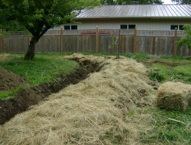 garden design permaculture butte mulch trench