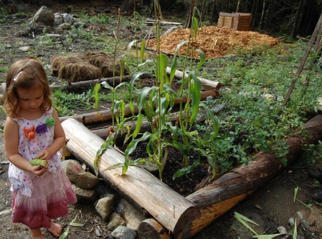 landscaping garden permaculture round buttes