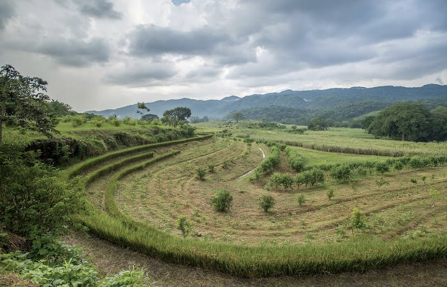 garden design permaculture outlines