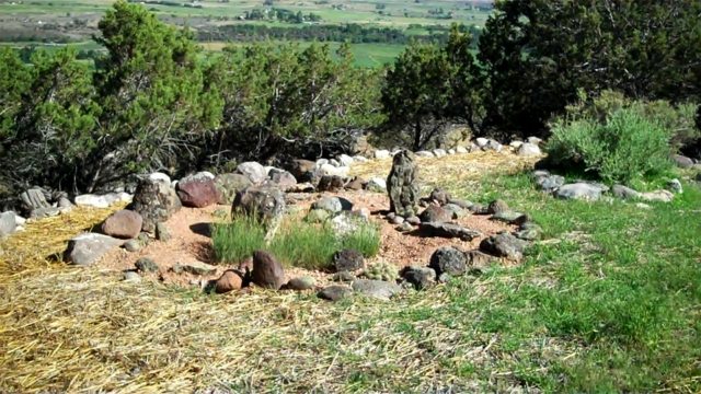 garden design permaculture culture cactus