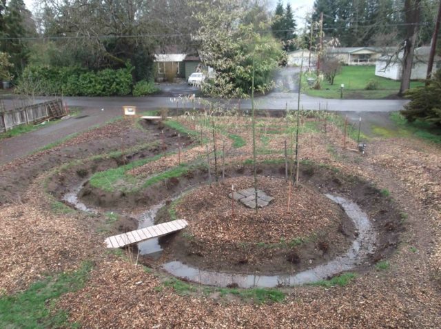 landscaping garden permaculture design bamboo