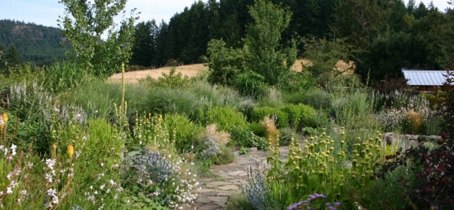 garden design permaculture plant diversity