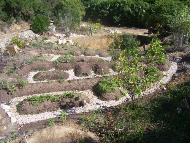 landscaping outdoor garden permaculture pond construction