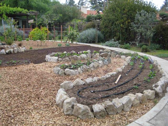 garden permaculture design parterre irrigué