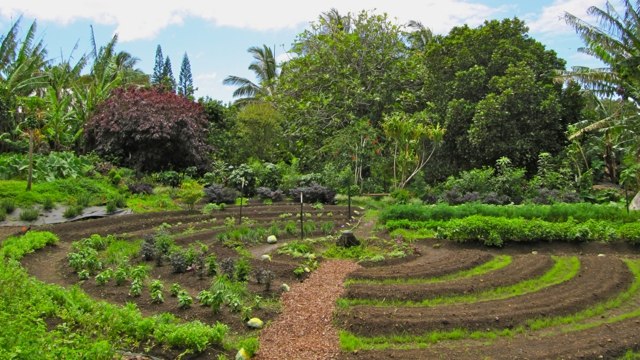 landscaping garden outdoor permacola tropical