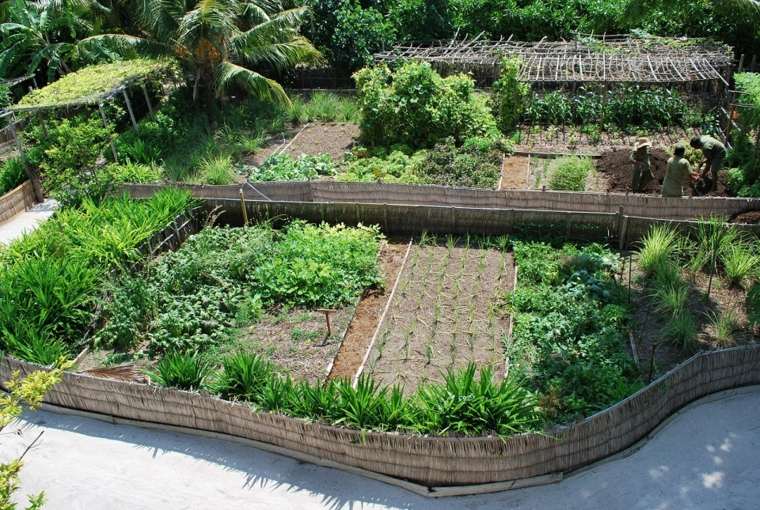 landscaping outdoor garden ideas deco permaculture