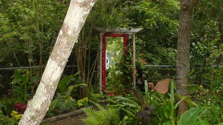 garden pictures with outdoor mirror