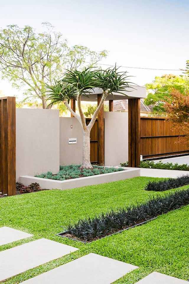 landscaping desert modern garden resistant